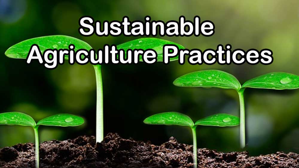 sustainable agriculture